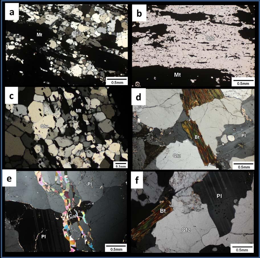 (50-60%) and plagioclase (30-40%) with accessory biotite, muscovite (Ms) and calcite. Calcite grains are seen within the plagioclase (Fig. 4.12e).