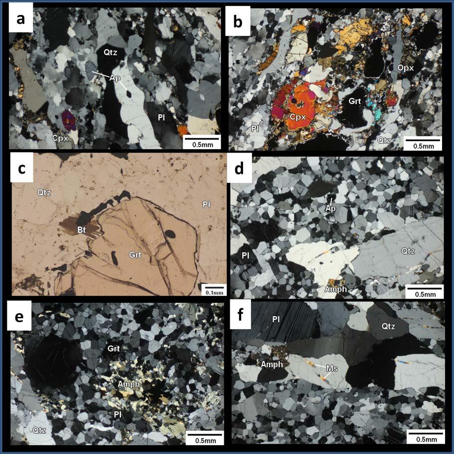 deformation (Fig. 4.14d). Xenoblastic amphibole (Fig. 4.14e) is present at places. Finegrained garnet (~0.2mm) rarely occurs in the rock.