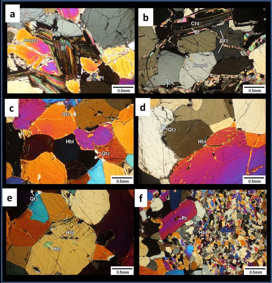 Fig. 4.2 Photomicrographs from hornblendite: (a) Quartz and plagioclase are present along grain boundary.