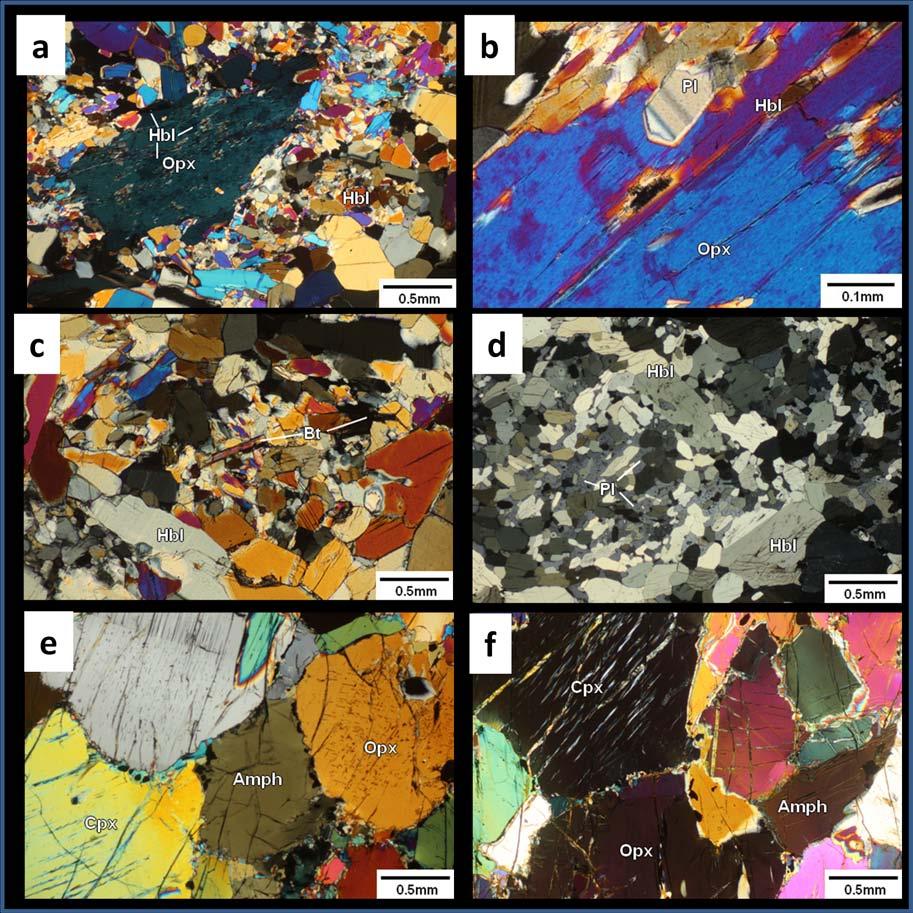 Fig. 4.3 Photomicrographs from hornblendite (a-e) and pyroxenite (f): (a) Subidioblastic orthopyroxene mineral grains are transformed to hornblende. (b) Plagioclase as relict within orthopyroxene.