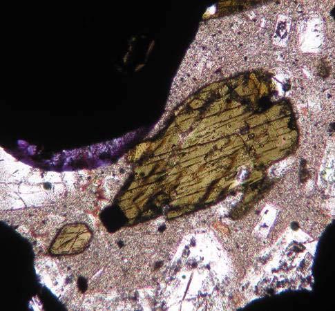 Mineralogy Pl phenocrysts - (An51 -An83);