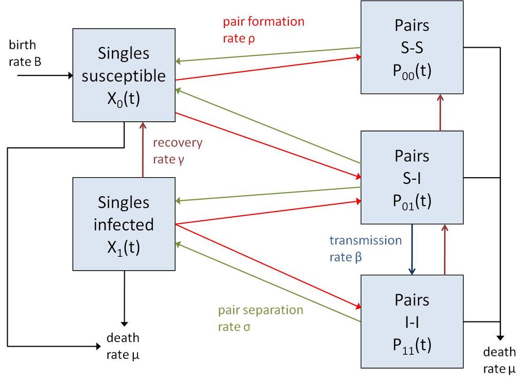 Model formulation pair formation and SIS infection SIS epidemics Assumptions: no distinction between men/women