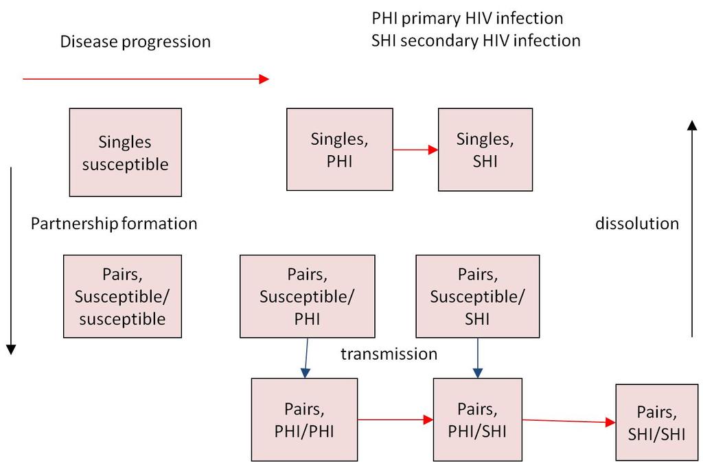 Modelling HIV in MSM Variable infectivity Pair formation model with