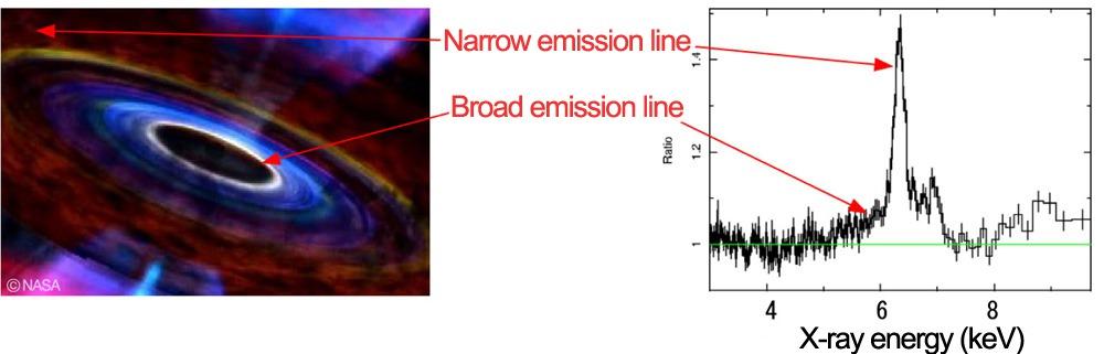 Close environment of supermassive black holes Fluorescent iron line profile from