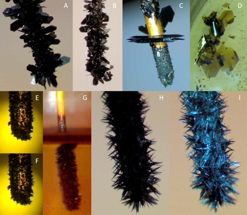 Results and discussion: C2Ph 0 C4 0 C5 0 Figure 3. (A,B) Crystals of C2Ph 0 covering the gold wire at the end of electrolysis, after extraction of the electrode from the electrochemical cell.