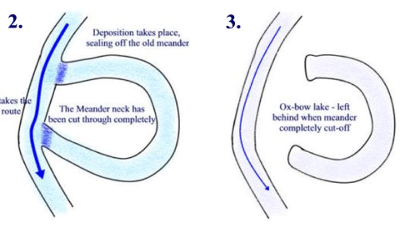 Group 3 Why are meanders asymmetric in cross section? Why is this a self accenuating process?