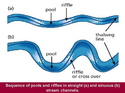 As Helicoidal flow leaves the riffle section and enters a pool it has more energy to erode and will favour one side of the other of the channel.