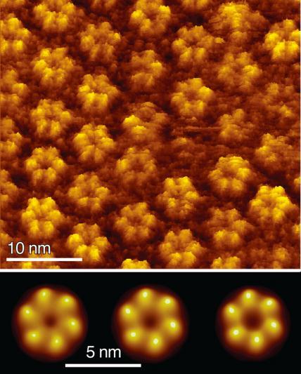 Can see fraction of a nanometer, >1000x better than optical techniques