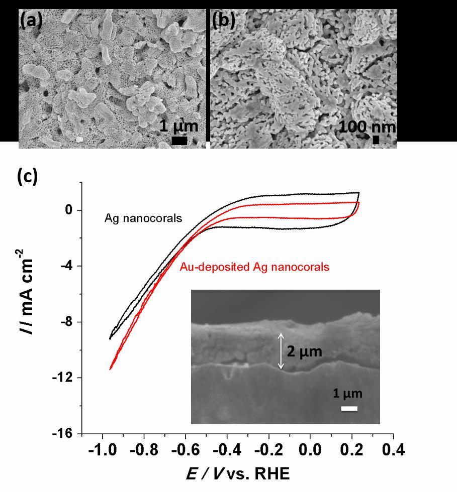 Figure S10 SEM images of Ag nanocorals obtained from: (a) electroreduced AgCl prepared in 1.