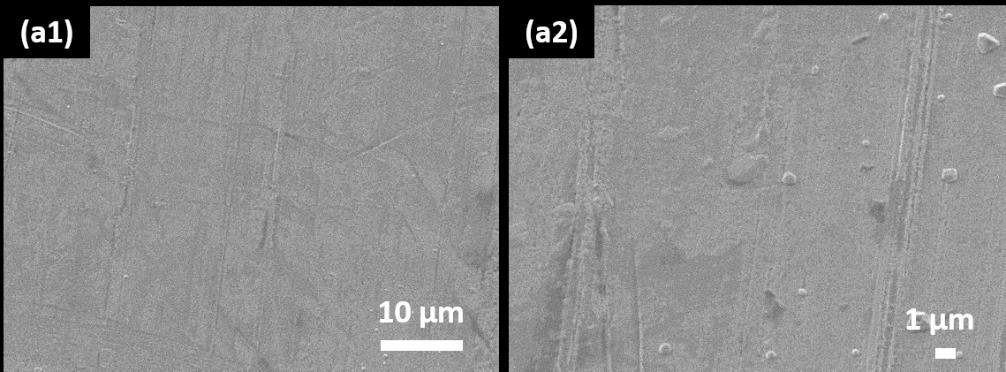Figure S1 SEM images of a Ag foil