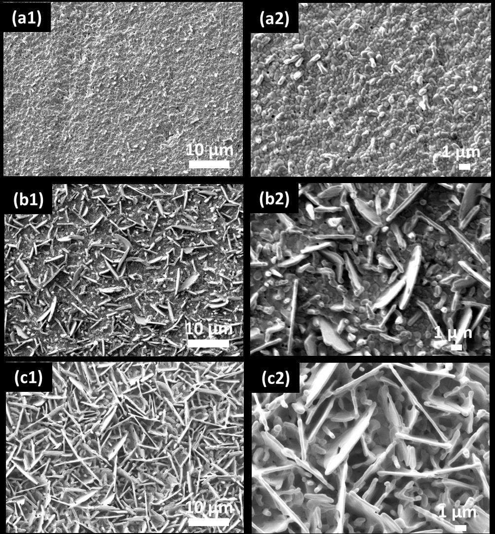 Figure S2 SEM images of AgCl layers formed by anodising Ag foils in 3.