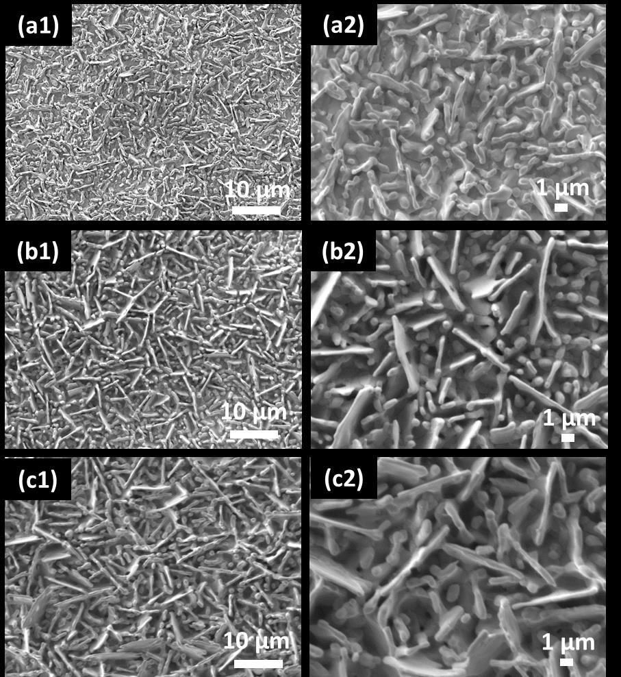 Figure S3 SEM images of AgCl layers formed by anodising Ag foils at 1.0 V in 3.
