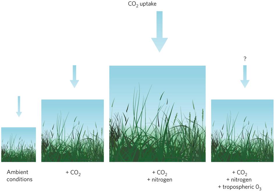 CO 2 Feedback: Plants Initial Action: Humans Release CO 2 Initial Response: T SURFACE rises Secondary Response: Increased