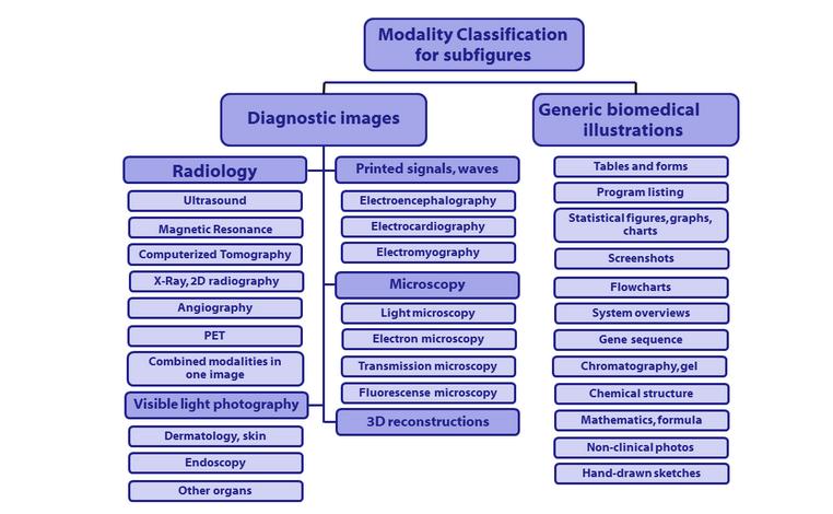 ImageCLEF dataset Task: multi-label classification Figure: The hierarchy of