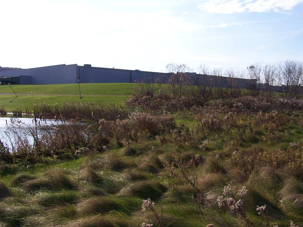 Photograph 5: Rear view of existing Walmart facility showing