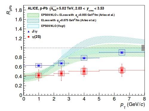 ψ(2s) in ppb ALICE has given a try in Run 1 CERN-PH-EP-2014-092 5 TeV ppb / 7 TeV