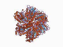 pump is found in the sarcoplasmic reticulum (specialized form of