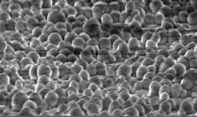 Nano-coating features Coating surface - Monolayer - Similar to an hemispherical shape - Size of about 300nm - Highly packed - Randomized distribution (avoids grating effects) 1µm SEM image AFM image
