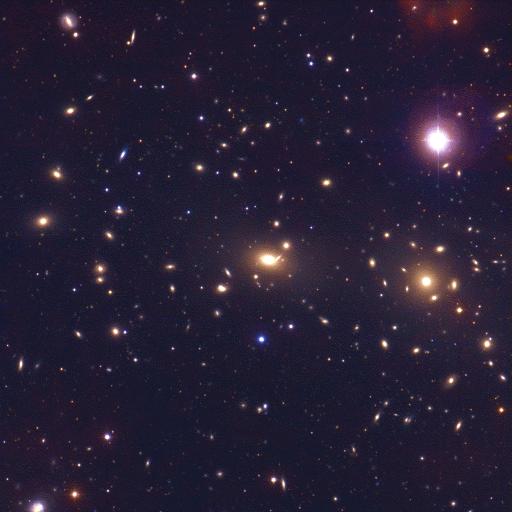 Coma Cluster Galaxies