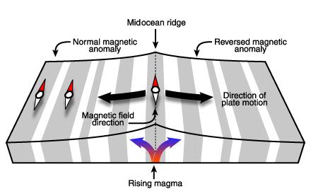 magnetization can persist for millions and even billions of years. This processes is called 'thermal' remanent magnetization (TRM).