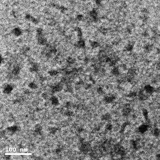 Fig. S-9. TEM image of sol II in Fig. 1 Fig. S-10. 1 NMR of freeze-dried sol II in Fig.