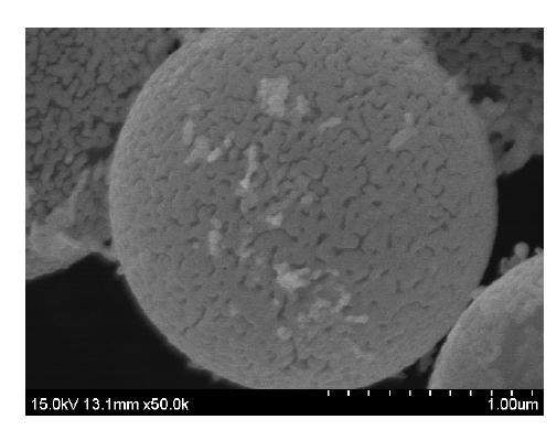 Scanning electron microscopy (SEM) image of gold