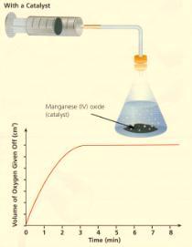 rate of a chemical reaction