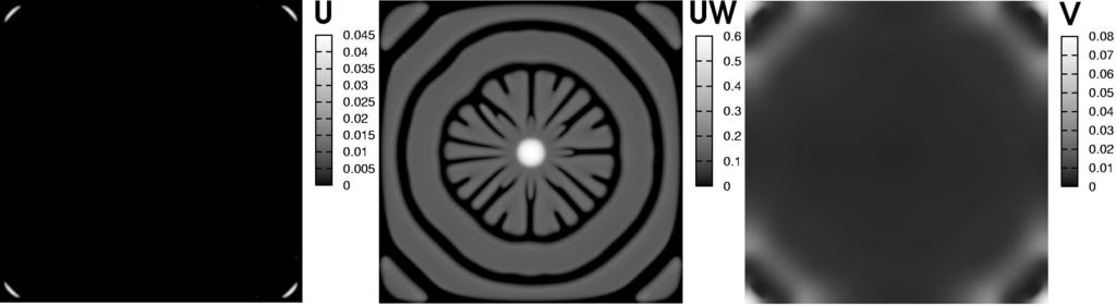 178 R. STRAKA, Z. ČULÍK Fig. 2. Results of numerical simulations for v 0 = 0.1, d = 0.05, T = 5775, concentric ring pattern. 2. Results of simulations.
