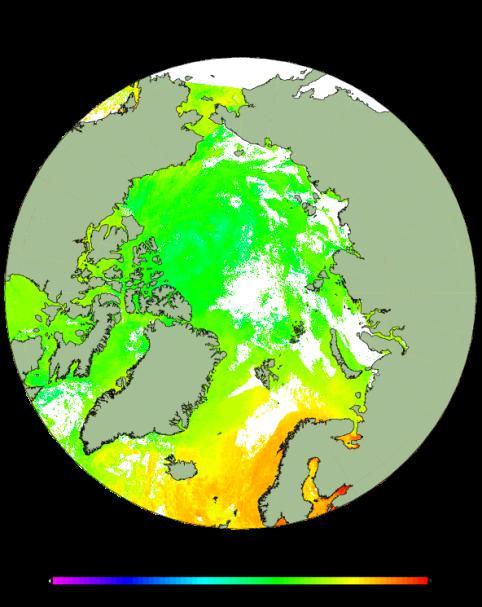 Daily monitoring of Arctic surface