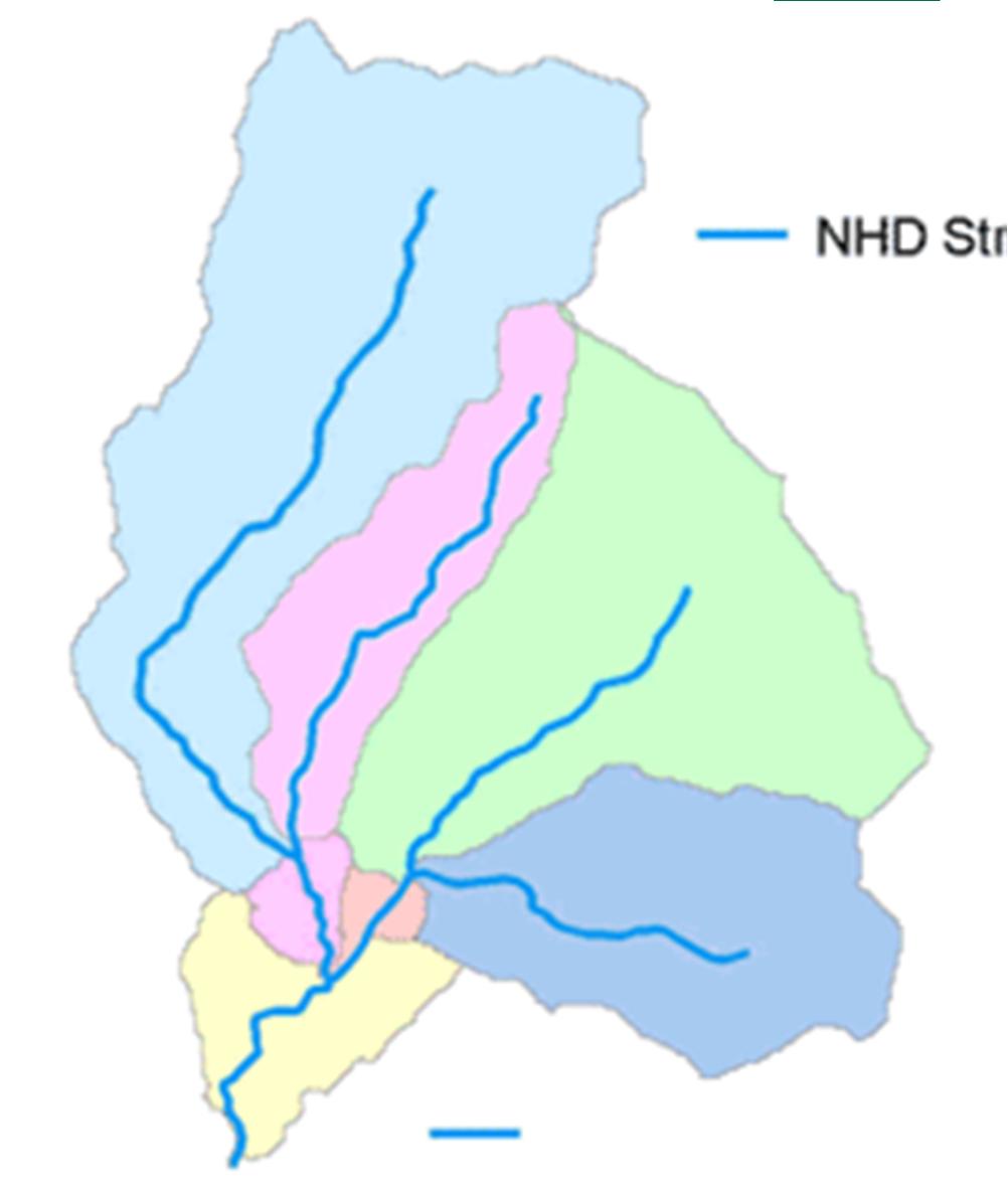 + 3 NHDPlus includes A nationally seamless network of stream reaches Value-added attributes for stream network navigation and analysis Flow surfaces in raster format Elevation-based catchment areas