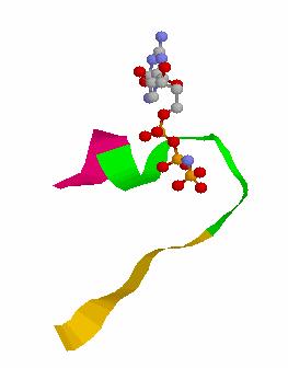 Entry in PROSITE for the ATP/GTP binding site motif ID ATP_GTP_A; PATTERN. AC PS7; DT APR-99 (CREATED); APR-99 (DATA UPDATE); NOV-99 (INFO UPDATE).