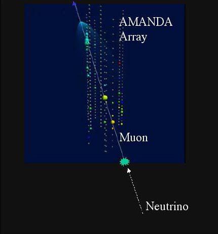 AMANDA Look for upwards going Muons from