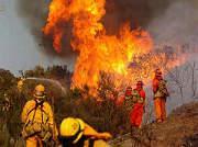 Natural Disasters Information- Wildfires A wildfire also known as a wild land fire, forest fire, vegetation fire, grass fire, peat fire, bushfire (in Australia), or hill fire is an uncontrolled fire