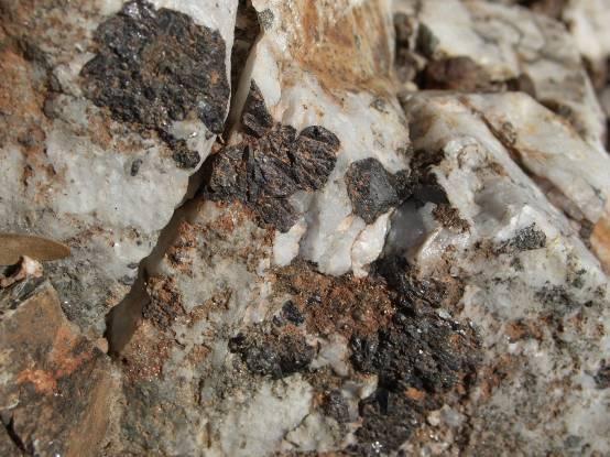 Activities Update May 2010 Four main types of mineralisation have been described from the Mt Carbine district: 1) sheeted quartz vein systems and associated eluvial deposits with cassiterite,