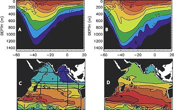 Uptake of anthropogenic carbon by the ocean More than just predictions of the MOC,