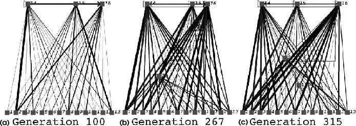 Figure 9: Complexification of a Winning Species. The best networks in the same species are depicted at landmark generations.
