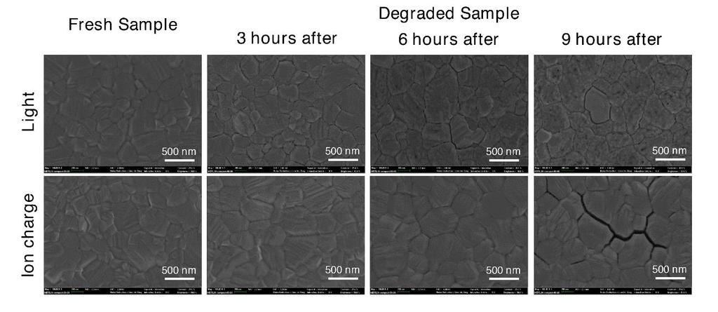 Supplementary Figure 11. The top-view SEM images of the fresh and degraded perovskite films.