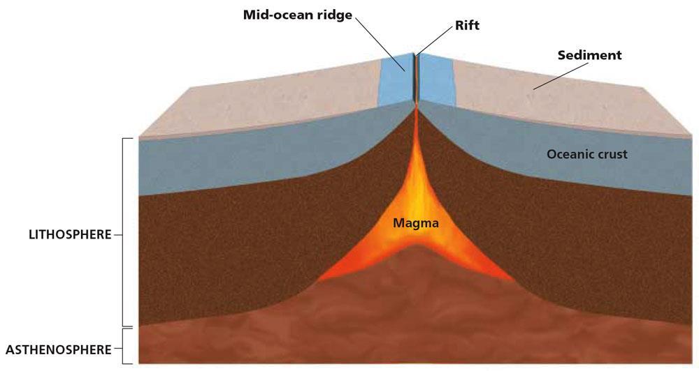 Plate Tectonics Section 1 Wegener s Hypothesis, continued Mid-Ocean Ridges, continued Rocks closer to a mid-ocean ridge are