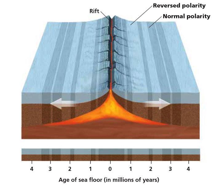 Plate Tectonics Section 1 Paleomagnetism, continued Magnetic Symmetry The pattern of magnetic symmetry and age of rock