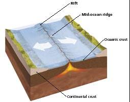 Plate Tectonics Section 2 Types of Plate Boundaries, continued Divergent Boundaries divergent boundary the boundary between tectonic plates that are moving away from each other Magma rises to