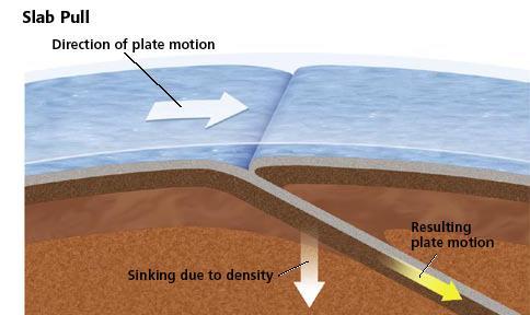 Plate Tectonics Section 2