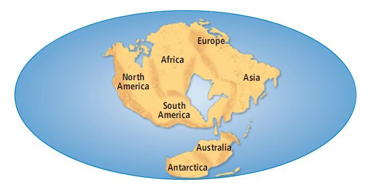 Plate Tectonics Section 3 The Supercontinent Cycle, continued Geography of the Future As tectonic plates continue to move, Earth s geography