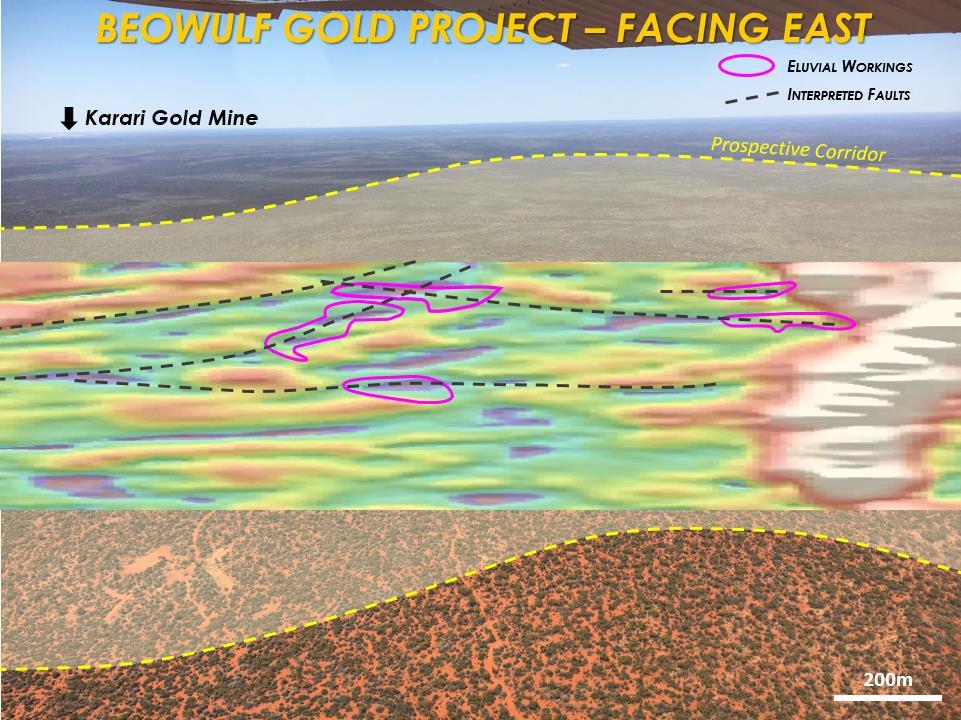 BEOWULF GOLD PROJECT Drilling after full lease appraisal Geophysical data indicates multiple