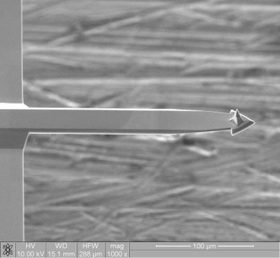 The ion beam energy and current were 30 kv and 5 na, respectively. Fig. 1 shows the SEM image of the probe obtained.