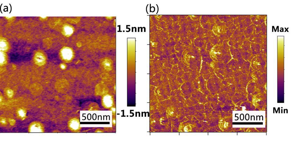 Supplementary Figure 1 AFM measurement of graphene film grown on flat SiO 2 substrate. (a) Height image.