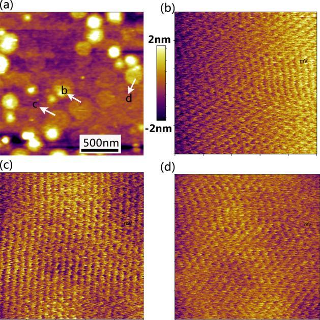 Supplementary Figure 3 Atomically resolved AFM measurement for grain size estimation of