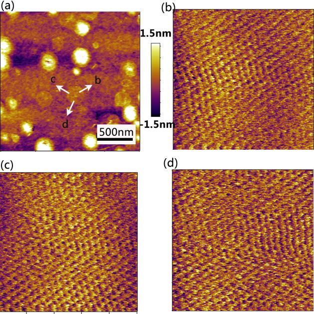 estimation of the graphene film grown on flat SiO 2 substrate. (a) Height image.