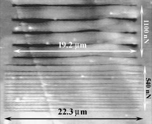 7000 4.0 Dynamic Stick-Slip Amplitude (nn) 6000 5000 4000 3000 2000 1000 0 (a) Stick-Slip Distance (µm) 0.