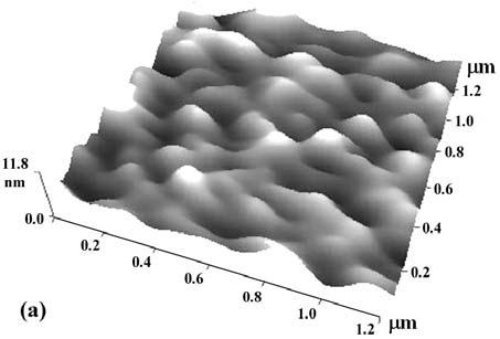 Figure 2. (a) Surface topography of a freshly spun PDMS surface shown in 3-D format. The contact mode image was obtained with probe A at a constant lever deflection of < 20 nn.