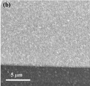 2 Nm -1 (probe C in Table 2). Figure 3(a) and (b) shows the resultant PDMS surface after manipulation (contact mode imaging in a raster pattern).